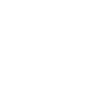 Secure VPS Icon